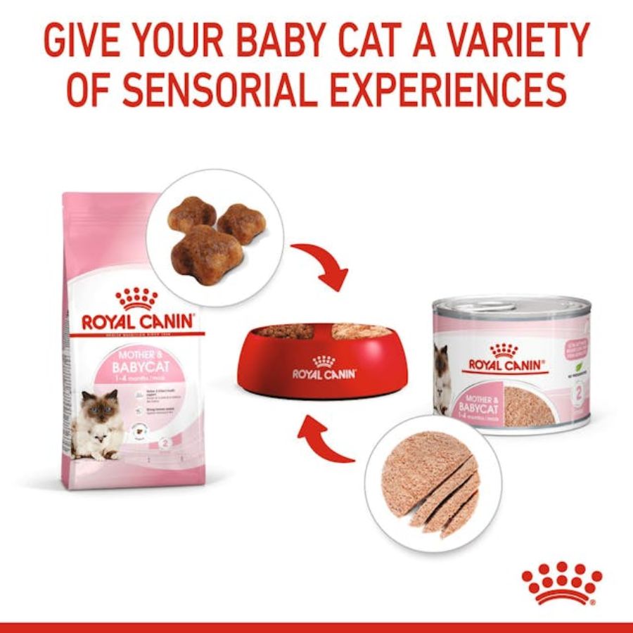 Royal Canin Mother & Babycat Lata 145gr: Alimento de iniciación para gatitos con textura mousse, apoya el microbioma y el sistema inmunológico. ¡Ideal para la salud de tu gatito! 🐱🍼🐾