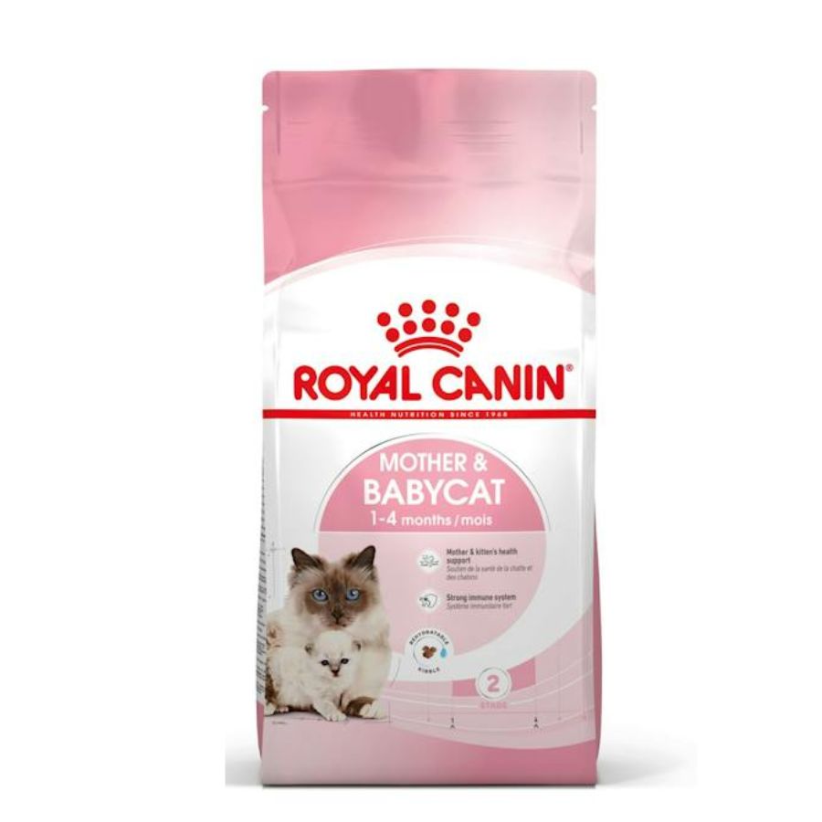 Royal Canin Mother & Babycat: Alimento para gatas en gestación/lactancia y gatitos hasta 4 meses. Facilita el destete, refuerza el sistema inmunitario y promueve la salud digestiva y cerebral. 🐱🍼🐾