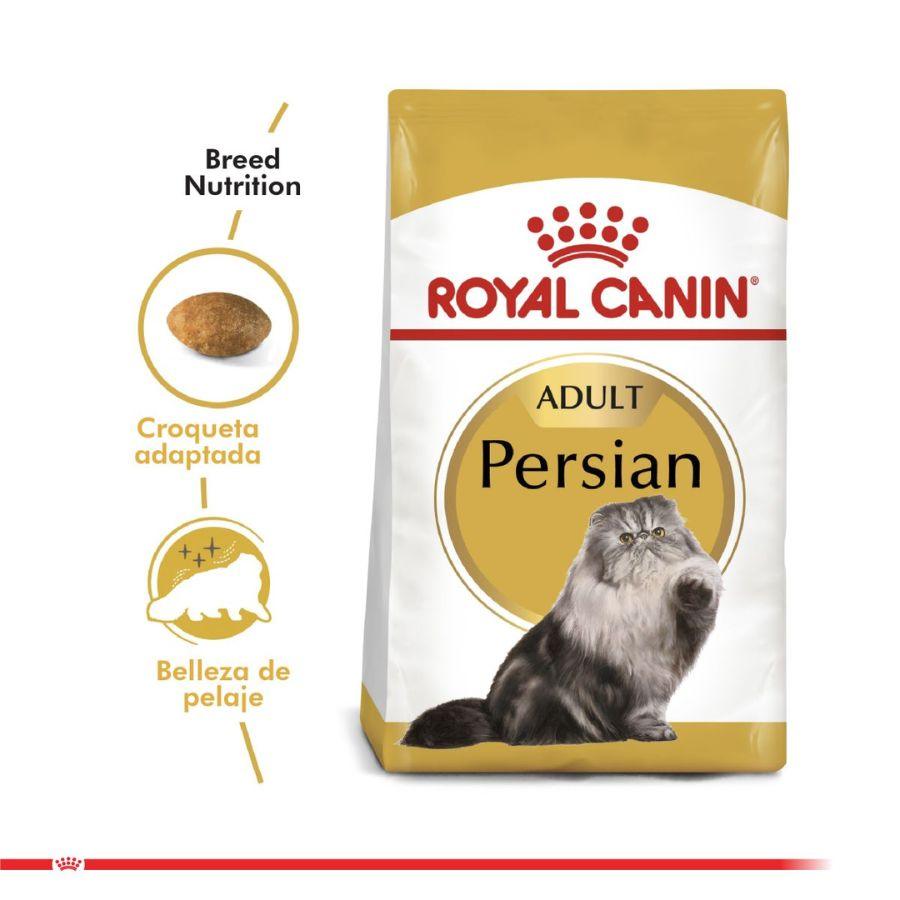 Royal Canin Persa 400G, alimento para gatos Persas mayores de 12 meses. Croqueta especial para prensión y masticación, con nutrientes para la salud del pelo y piel.