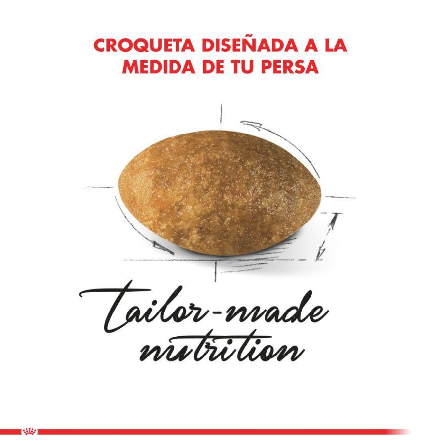 Royal Canin Persa 400G, alimento para gatos Persas mayores de 12 meses. Croqueta especial para prensión y masticación, con nutrientes para la salud del pelo y piel.