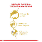 Royal Canin Persa 400G, alimento para gatos Persas mayores de 12 meses. Croqueta especial para prensión y masticación, con nutrientes para la salud del pelo y piel.