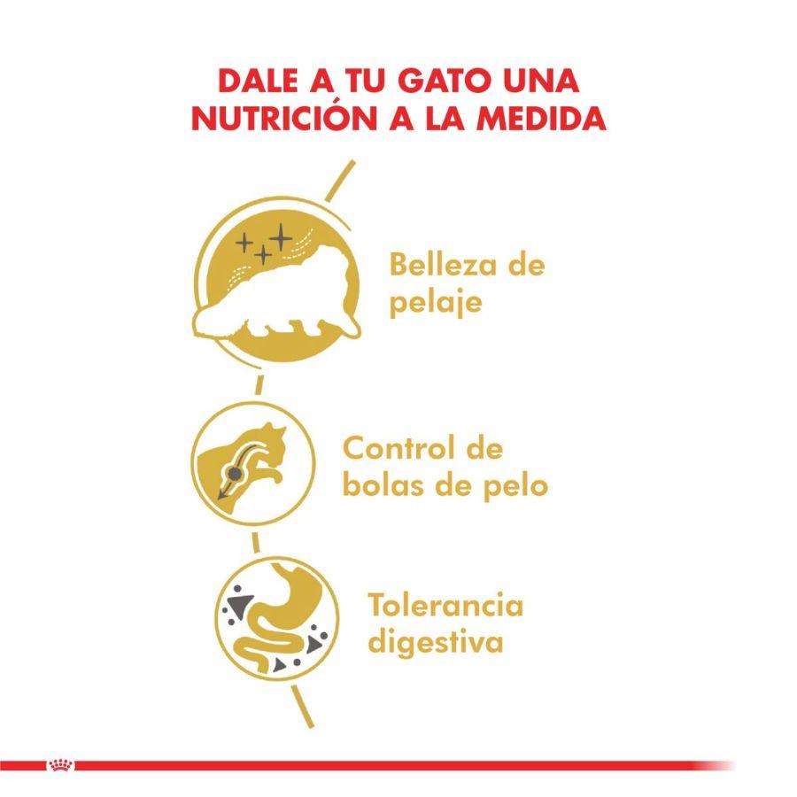 Royal Canin Persa 400G, alimento para gatos Persas mayores de 12 meses. Croqueta especial para prensión y masticación, con nutrientes para la salud del pelo y piel.