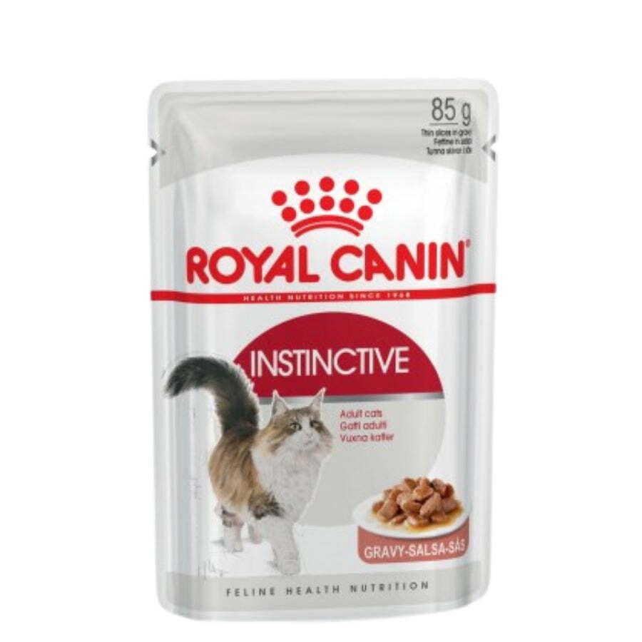 Royal Canin Pouch Gato Adulto Instinctive: Alimento húmedo para gatos adultos desde 12 meses. Soporte urinario, control de peso y alta palatabilidad. 🐱🍲🐾