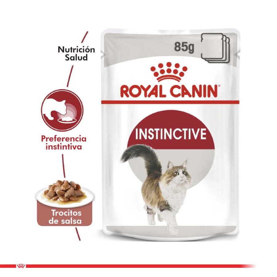 Royal Canin Pouch Gato Adulto Instinctive: Alimento húmedo para gatos adultos desde 12 meses. Soporte urinario, control de peso y alta palatabilidad. 🐱🍲🐾