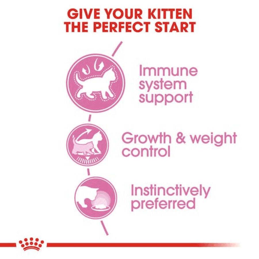 Royal Canin Kitten Sterilised Pouch: Alimento húmedo para gatitos esterilizados de 4 a 12 meses. Fomenta el crecimiento saludable y controla el peso, con proteínas y minerales equilibrados. 🐱🍲🐾