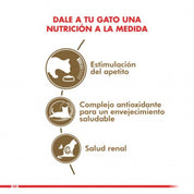 Royal Canin Feline Ageing 12+ Húmedo: Alimento húmedo para gatos mayores de 12 años, con EPA/DHA para salud articular y fósforo adaptado para la función renal. Nutrición completa y equilibrada. 🐱🍲