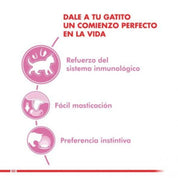 Royal Canin Pouch Instinctive Gato Kitten: Alimento húmedo especializado para gatitos hasta 12 meses, apoya el crecimiento y fortalece el sistema inmune. Textura adecuada, rico en nutrientes. 🐱🍲🐾