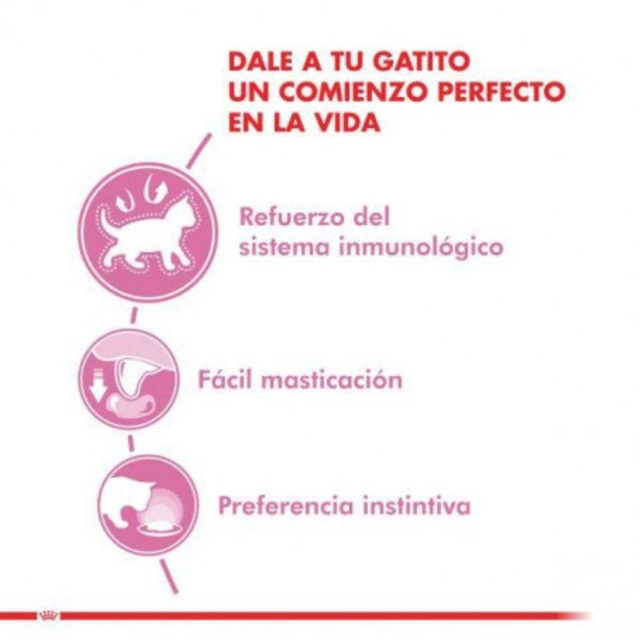 Royal Canin Pouch Instinctive Gato Kitten: Alimento húmedo especializado para gatitos hasta 12 meses, apoya el crecimiento y fortalece el sistema inmune. Textura adecuada, rico en nutrientes. 🐱🍲🐾