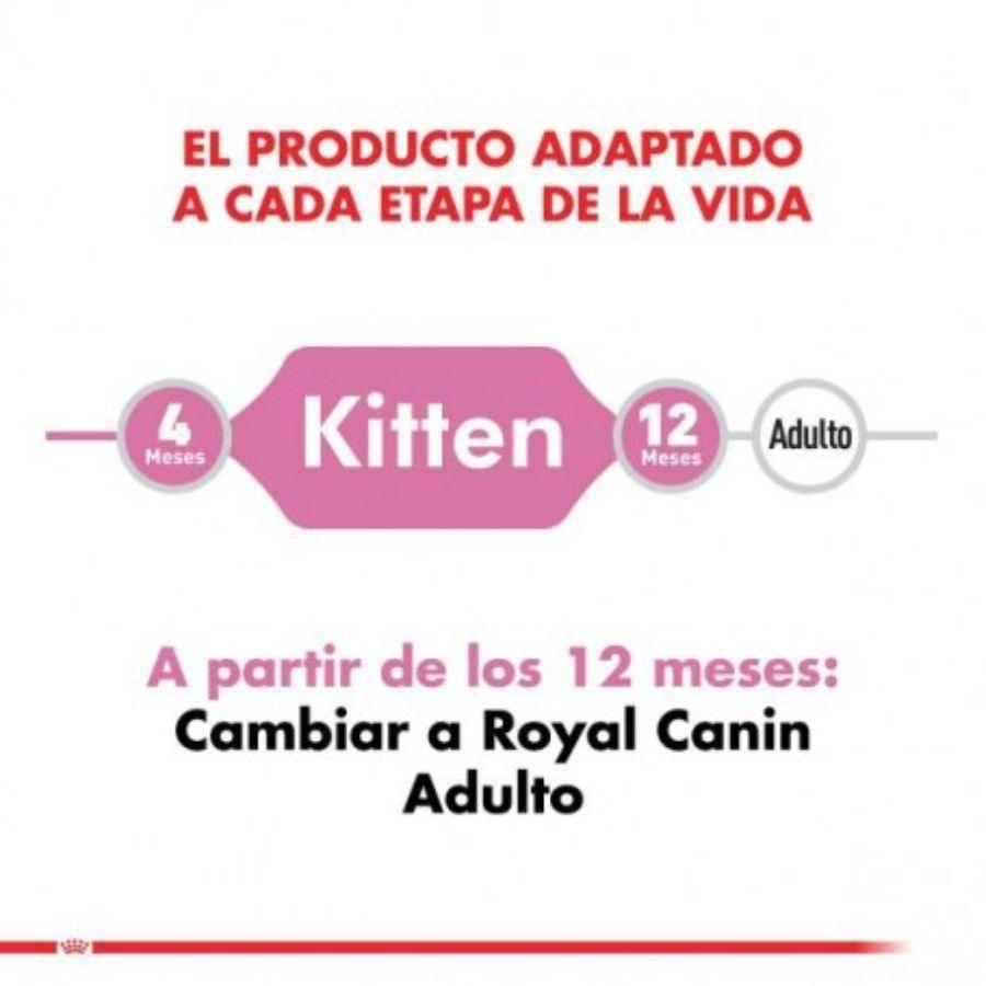 Royal Canin Pouch Instinctive Gato Kitten: Alimento húmedo especializado para gatitos hasta 12 meses, apoya el crecimiento y fortalece el sistema inmune. Textura adecuada, rico en nutrientes. 🐱🍲🐾