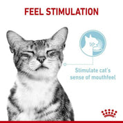 Royal Canin Pouch Sensory Feel: Alimento húmedo para gatos adultos, diseñado para estimular el sentido del gusto y tacto. Apoya la salud urinaria y tiene texturas únicas para una experiencia sensorial enriquecida. 🐱🍲👅