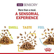 Royal Canin Pouch Sensory Taste: Alimento húmedo para gatos adultos, diseñado para estimular sentidos gustativos y olfativos. Apoya la salud urinaria y es altamente palatable. 🐱🍲👅