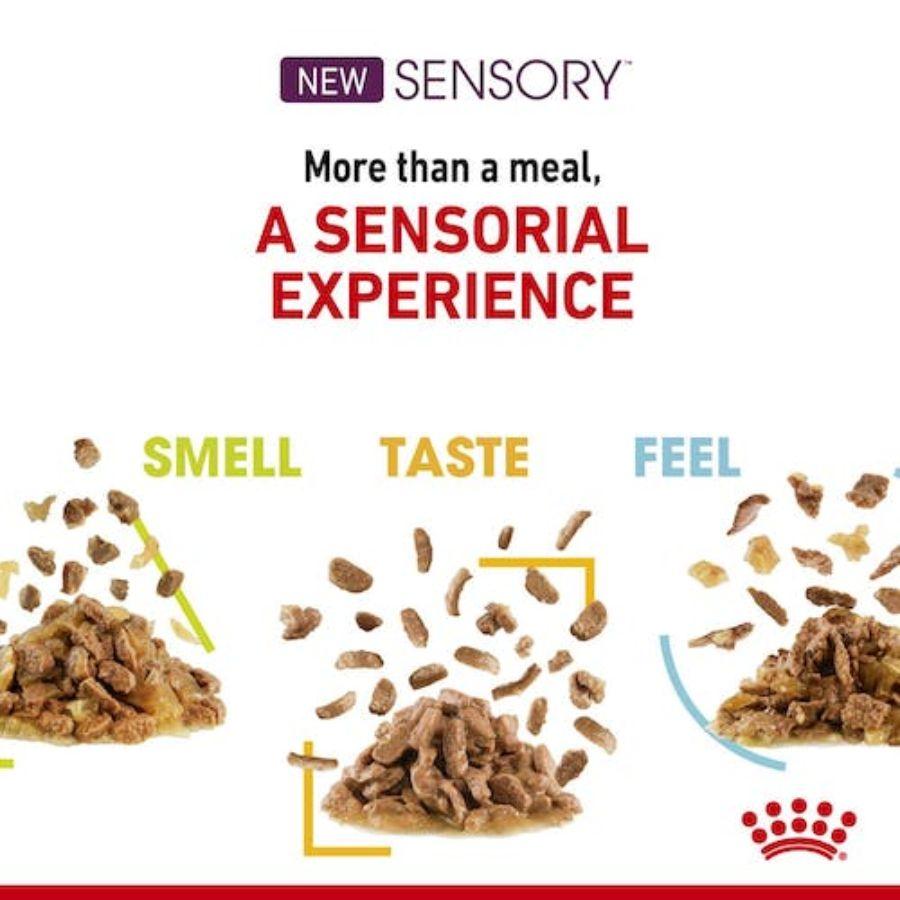 Royal Canin Pouch Sensory Taste: Alimento húmedo para gatos adultos, diseñado para estimular sentidos gustativos y olfativos. Apoya la salud urinaria y es altamente palatable. 🐱🍲👅