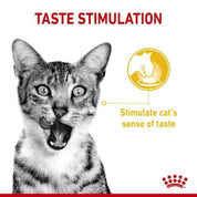 Royal Canin Pouch Sensory Taste: Alimento húmedo para gatos adultos, diseñado para estimular sentidos gustativos y olfativos. Apoya la salud urinaria y es altamente palatable. 🐱🍲👅