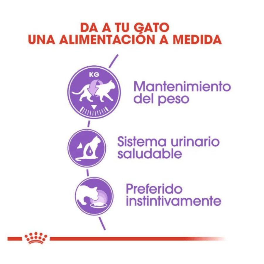 Royal Canin Pouch Sterilised Adulto 85gr, comida húmeda en gelatina para gatos esterilizados. Mantiene el peso ideal y promueve la salud urinaria. 🌟