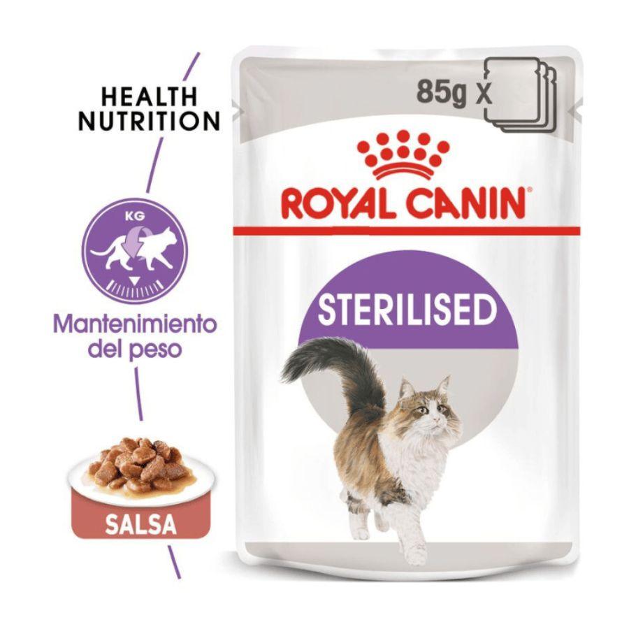 Royal Canin Pouch Sterilised Adulto 85gr, comida húmeda en gelatina para gatos esterilizados. Mantiene el peso ideal y promueve la salud urinaria. 🌟