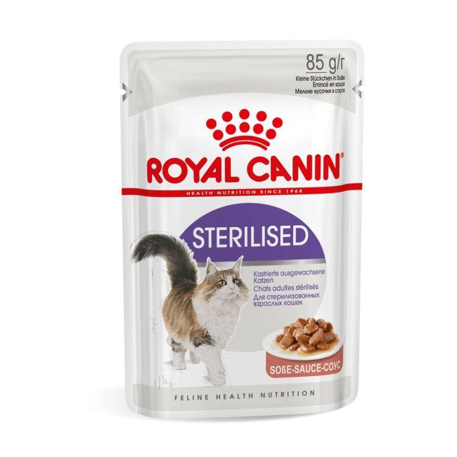 Royal Canin Pouch Sterilised Adulto 85gr, comida húmeda en gelatina para gatos esterilizados. Mantiene el peso ideal y promueve la salud urinaria. 🌟