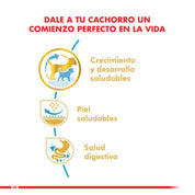 Royal Canin Pug Puppy 2.5 Kg: alimento completo para cachorros Pug, con croquetas especiales para su hocico, apoyando su salud digestiva y piel.🐕✨