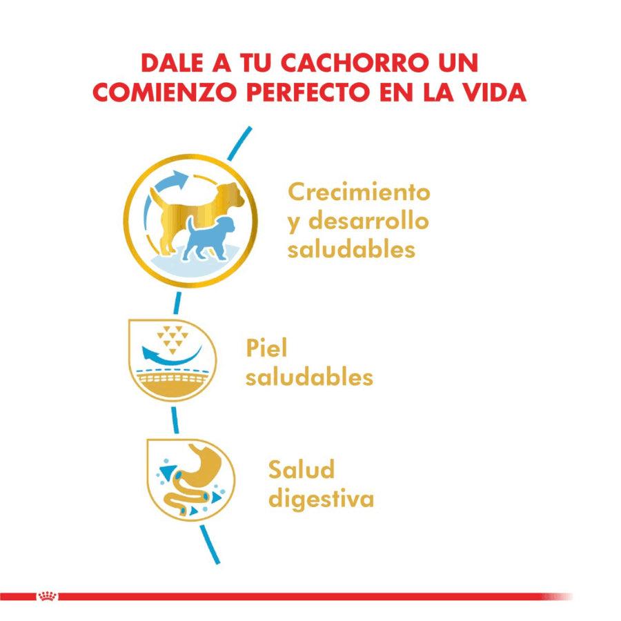 Royal Canin Pug Puppy 2.5 Kg: alimento completo para cachorros Pug, con croquetas especiales para su hocico, apoyando su salud digestiva y piel.🐕✨