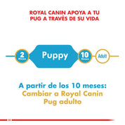 Royal Canin Pug Puppy 2.5 Kg: alimento completo para cachorros Pug, con croquetas especiales para su hocico, apoyando su salud digestiva y piel.🐕✨