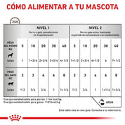 Royal Canin Recovery 🐶🐱, energía y nutrientes concentrados para la recuperación de mascotas. Facilita administración por sonda, reducción inflamación y pelaje saludables.