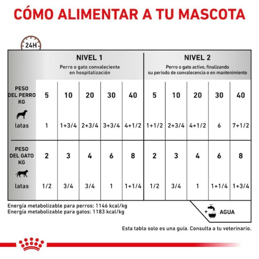 Royal Canin Recovery 🐶🐱, energía y nutrientes concentrados para la recuperación de mascotas. Facilita administración por sonda, reducción inflamación y pelaje saludables.