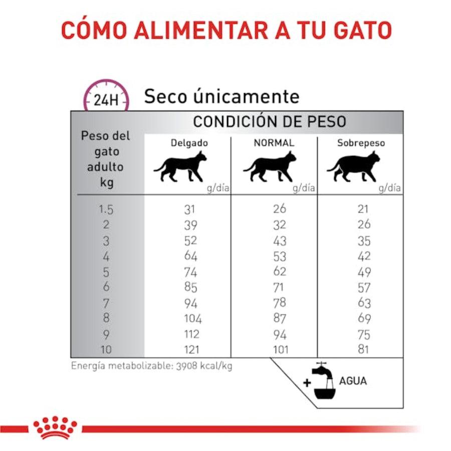 Nutre y protege la salud renal de tu gato con Royal Canin Renal 2Kg 🐱💖. Dieta especializada baja en fósforo y rica en EPA-DHA. Adecuado para el manejo de insuficiencia renal y hepática, y prevención de cálculos de oxalato.