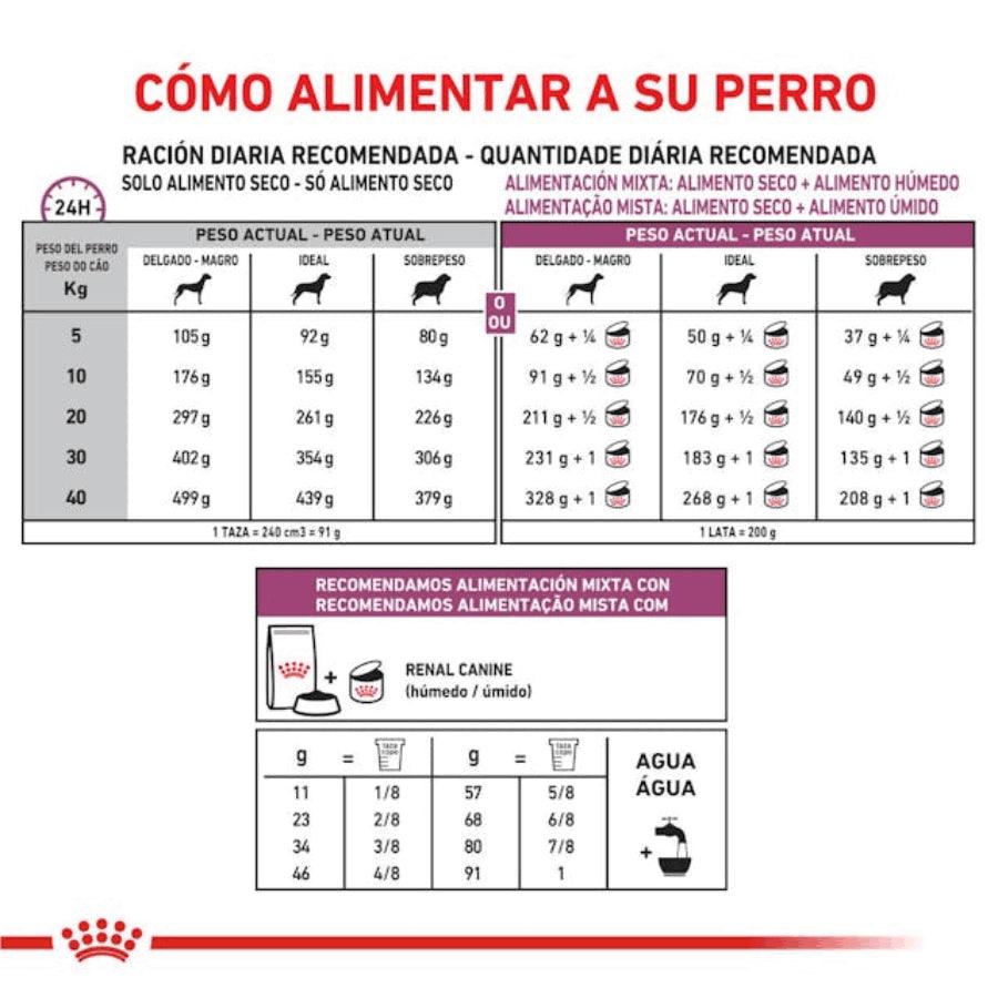 Royal Canin Renal Perro 10Kg 🌿🐾: alimenta y cuida la salud renal de tu mascota con este producto especializado. Bajo en fósforo y rico en nutrientes esenciales. Ideal para caninos con insuficiencia renal crónica. ¡Optimiza la dieta de tu perro hoy!