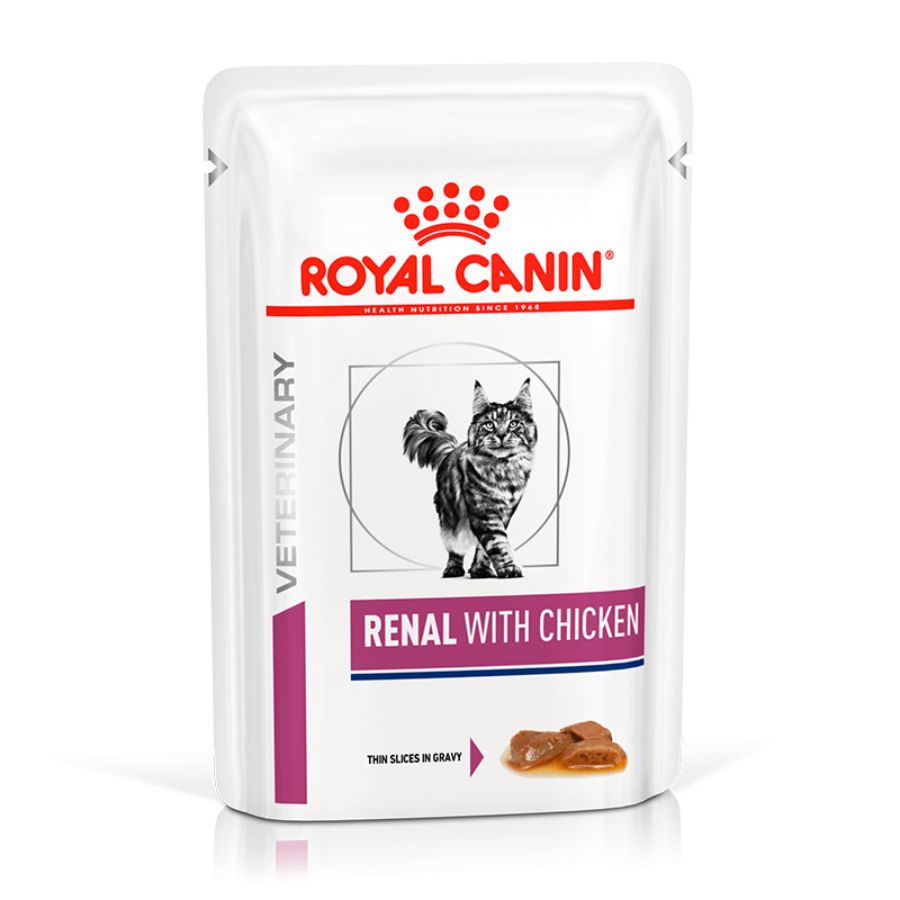 Royal Canin Renal con Pollo Pouch 🐾, ideal para gatos con insuficiencia renal. Baja carga renal, alta digestibilidad y sabor irresistible.