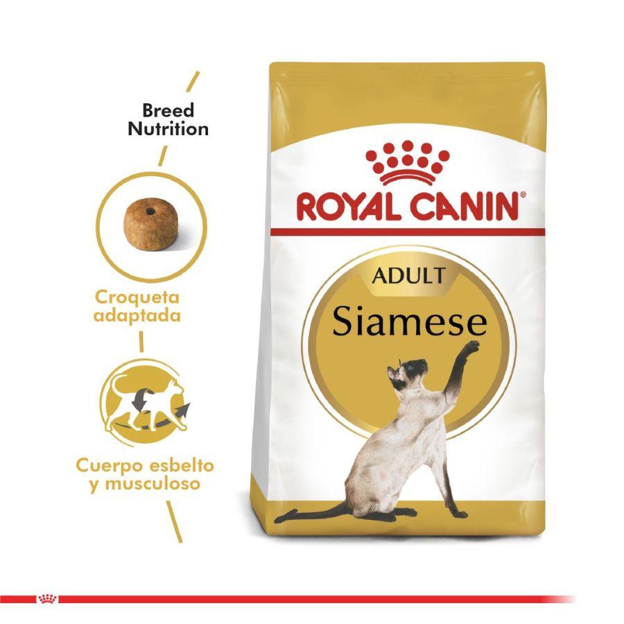 Royal Canin Siamese 400G, alimento para gatos Siameses mayores de 12 meses. Croqueta especial para prensión y masticación, con proteínas y grasas óptimas.