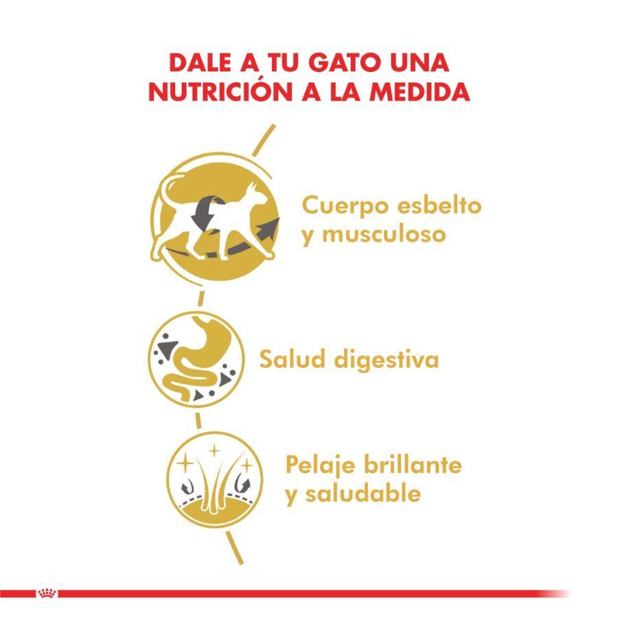 Royal Canin Siamese 400G, alimento para gatos Siameses mayores de 12 meses. Croqueta especial para prensión y masticación, con proteínas y grasas óptimas.