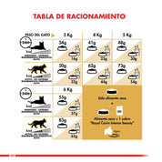 Royal Canin Siamese 400G, alimento para gatos Siameses mayores de 12 meses. Croqueta especial para prensión y masticación, con proteínas y grasas óptimas.