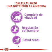 Royal Canin Sterilized 7+ 1,5kg: Alimento seco para gatos esterilizados mayores de 7 años. Combate el envejecimiento, controla el peso, y mantiene la salud renal y urinaria. 🐱🍲