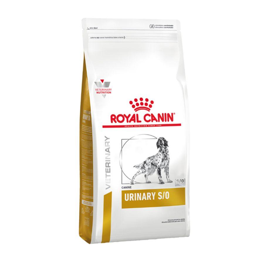 Royal Canin Urinary S/O Canine 1.5kg 🐶 disuelve cálculos de estruvita y previene su reaparición. Mantén la salud urinaria con una fórmula acidificante y bajo magnesio.