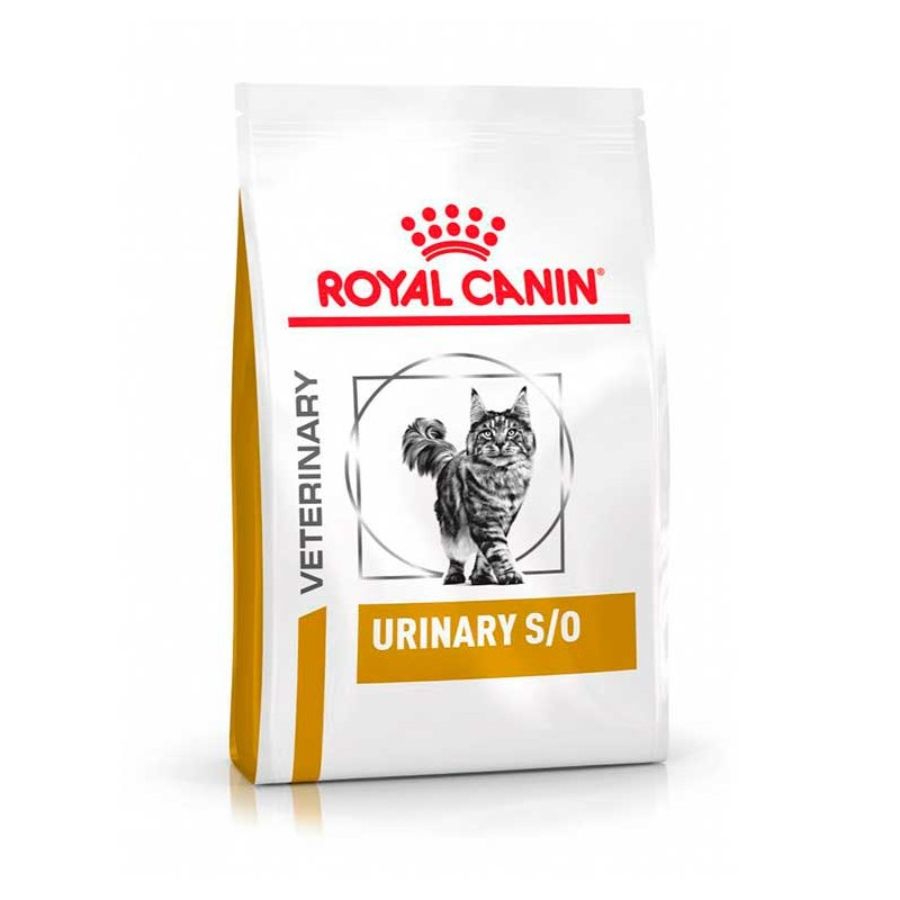 Royal Canin Urinary Gato S/O 1.5 KG 🐱 disuelve cálculos de estruvita y previene recidivas. Apoya la salud urinaria y fortalece la vejiga.