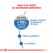 Royal Canin Active 7+: Alimento seco para gatos activos mayores de 7 años. Enriquecido con antioxidantes y polifenoles, apoya la función renal, salud urinaria y articular. 🐱🍲🐾