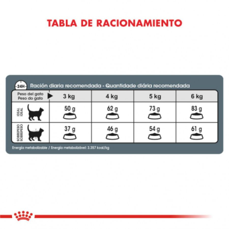 Royal Canin Active 7+: Alimento seco para gatos activos mayores de 7 años. Enriquecido con antioxidantes y polifenoles, apoya la función renal, salud urinaria y articular. 🐱🍲🐾