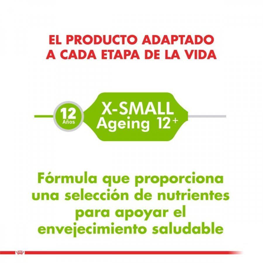 Royal Canin X-Small Adulto 12+ 1KG: Alimento especial para perros de razas muy pequeñas mayores de 12 años. Apoya la vitalidad en la vejez, salud intestinal, cardiaca y dental. 🐶🍲🐾