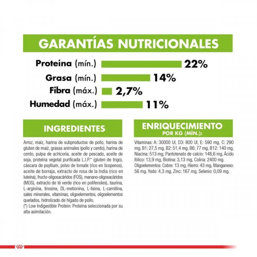 Royal Canin X-Small Adulto 12+ 1KG: Alimento especial para perros de razas muy pequeñas mayores de 12 años. Apoya la vitalidad en la vejez, salud intestinal, cardiaca y dental. 🐶🍲🐾