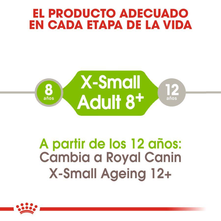 Royal Canin X-Small Adulto 8+ 1KG: Alimento para perros de razas muy pequeñas mayores de 8 años. Favorece la vitalidad, salud digestiva y urinaria. Croquetas adaptadas para mandíbulas pequeñas. 🐶🍲🐾