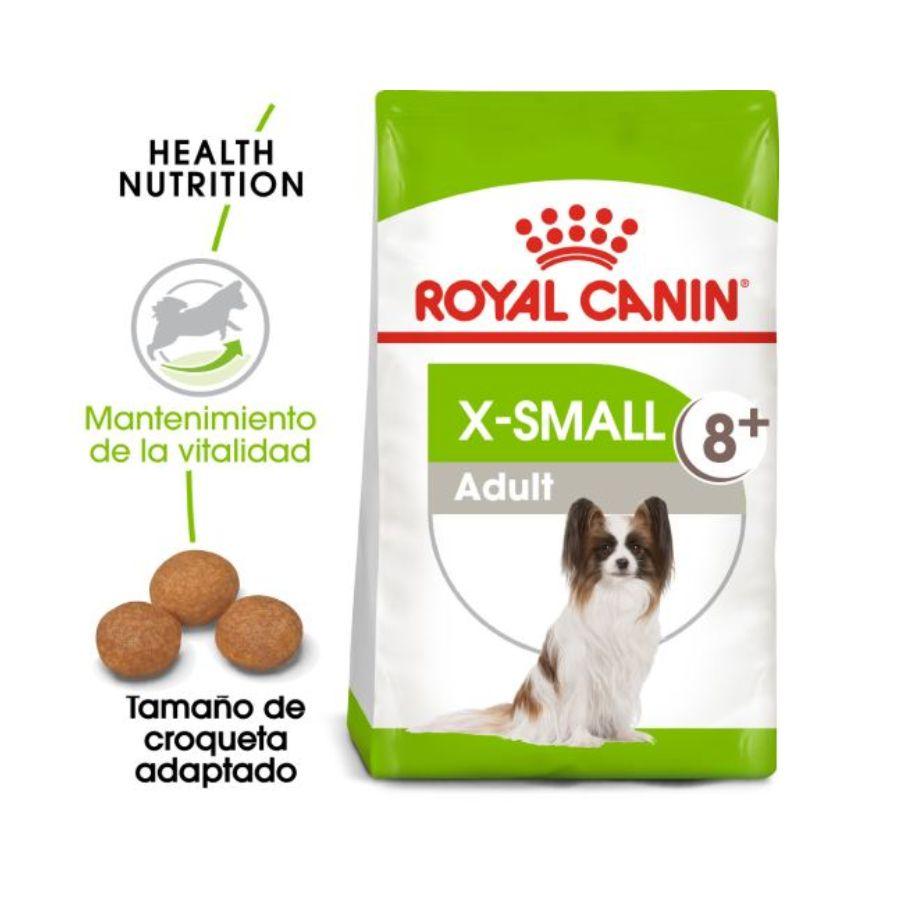 Royal Canin X-Small Adulto 8+ 1KG: Alimento para perros de razas muy pequeñas mayores de 8 años. Favorece la vitalidad, salud digestiva y urinaria. Croquetas adaptadas para mandíbulas pequeñas. 🐶🍲🐾