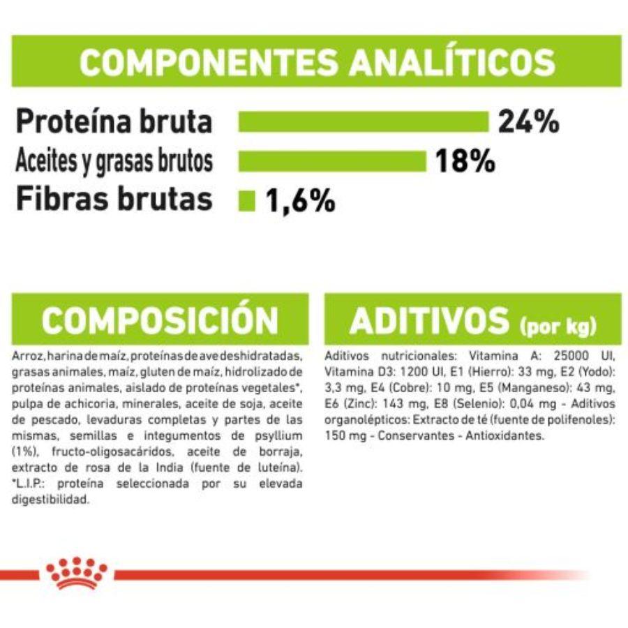 Royal Canin X-Small Adulto 8+ 1KG: Alimento para perros de razas muy pequeñas mayores de 8 años. Favorece la vitalidad, salud digestiva y urinaria. Croquetas adaptadas para mandíbulas pequeñas. 🐶🍲🐾