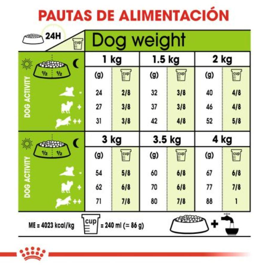 Royal Canin X-Small Adulto 8+ 1KG: Alimento para perros de razas muy pequeñas mayores de 8 años. Favorece la vitalidad, salud digestiva y urinaria. Croquetas adaptadas para mandíbulas pequeñas. 🐶🍲🐾