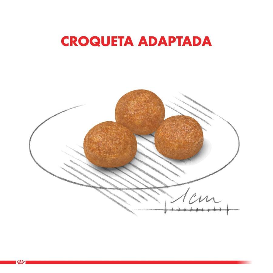 Royal Canin X-Small Adulto 2.5KG: Alimento completo para perros adultos de razas muy pequeñas. Promueve tránsito saludable, salud del pelaje, del tracto urinario y dental. 🐶