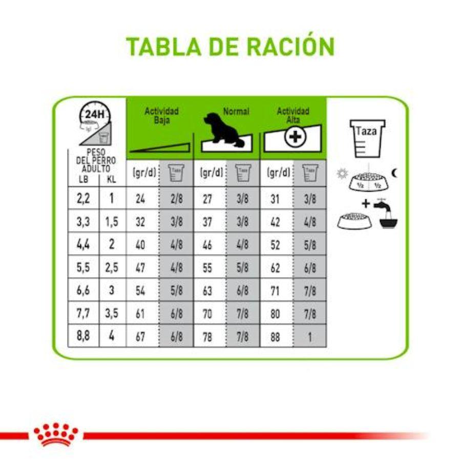 Royal Canin X-Small Adulto 1KG: Alimento completo para perros adultos de razas muy pequeñas. Promueve tránsito saludable, salud del pelaje, del tracto urinario y dental. 🐶