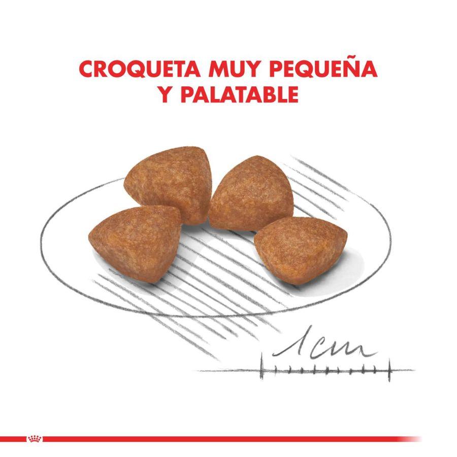 Royal Canin X-Small Puppy 1kg: Alimento especializado para cachorros de razas miniatura hasta 10 meses. Favorece la digestión, alto contenido energético y fortalece el sistema inmunitario. 🐶🐾