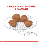 Royal Canin X-Small Puppy 2.5kg: Alimento especializado para cachorros de razas miniatura hasta 10 meses. Favorece la digestión, alto contenido energético y fortalece el sistema inmunitario. 🐶🐾