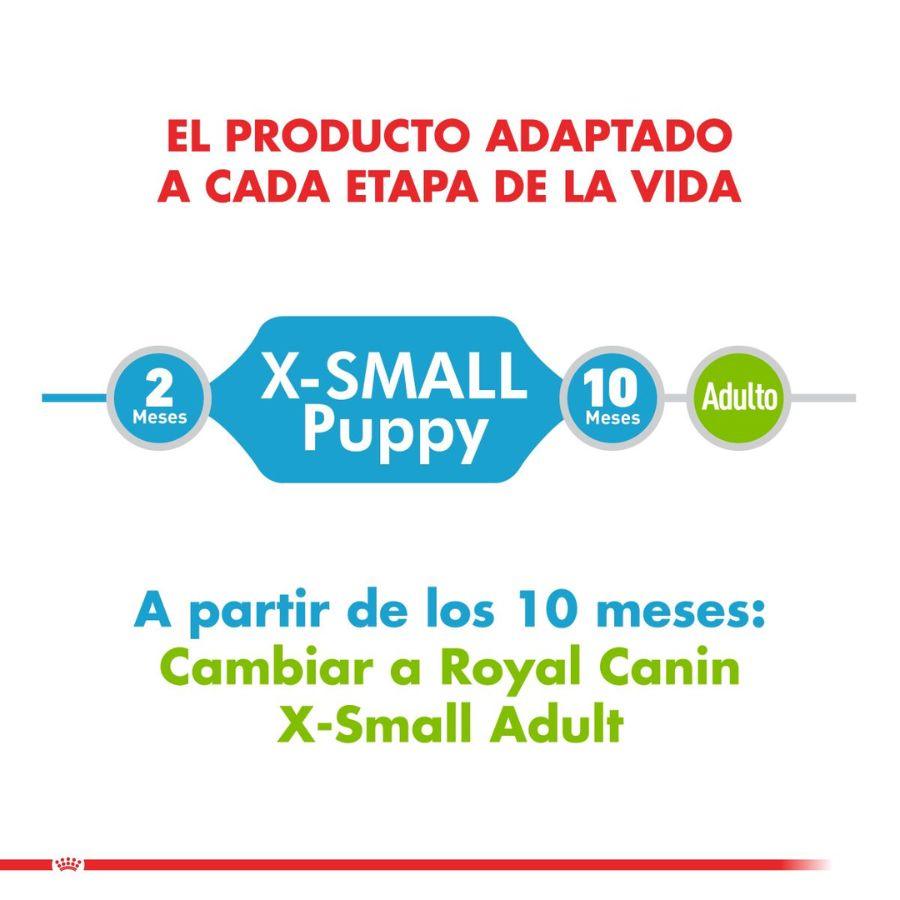 Royal Canin X-Small Puppy 1kg: Alimento especializado para cachorros de razas miniatura hasta 10 meses. Favorece la digestión, alto contenido energético y fortalece el sistema inmunitario. 🐶🐾