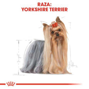 Royal Canin Yorkshire Terrier Adulto 1 Kg: El pienso premium que realza el brillo y la salud del pelo largo, satisface los paladares más exigentes y cuida la salud dental. Perfecto para Yorkshires adultos. 🐕✨