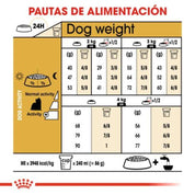 Royal Canin Yorkshire Terrier Adulto 2,5 Kg: El pienso premium que realza el brillo y la salud del pelo largo, satisface los paladares más exigentes y cuida la salud dental. Perfecto para Yorkshires adultos. 🐕✨