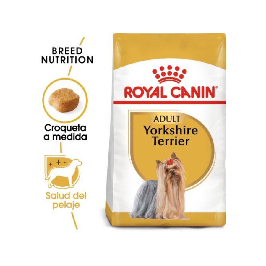 Royal Canin Yorkshire Terrier Adulto 1 Kg: El pienso premium que realza el brillo y la salud del pelo largo, satisface los paladares más exigentes y cuida la salud dental. Perfecto para Yorkshires adultos. 🐕✨